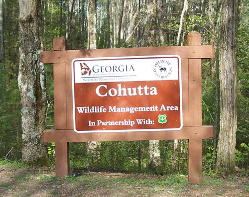 Cohutta Wilderness
