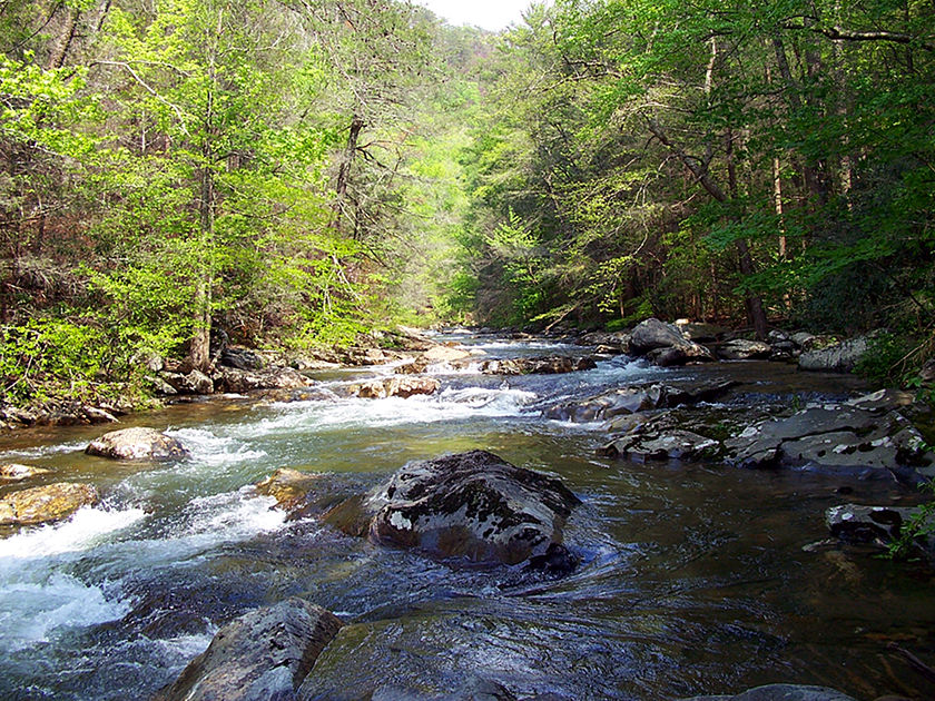 Cohutta Wilderness Trail